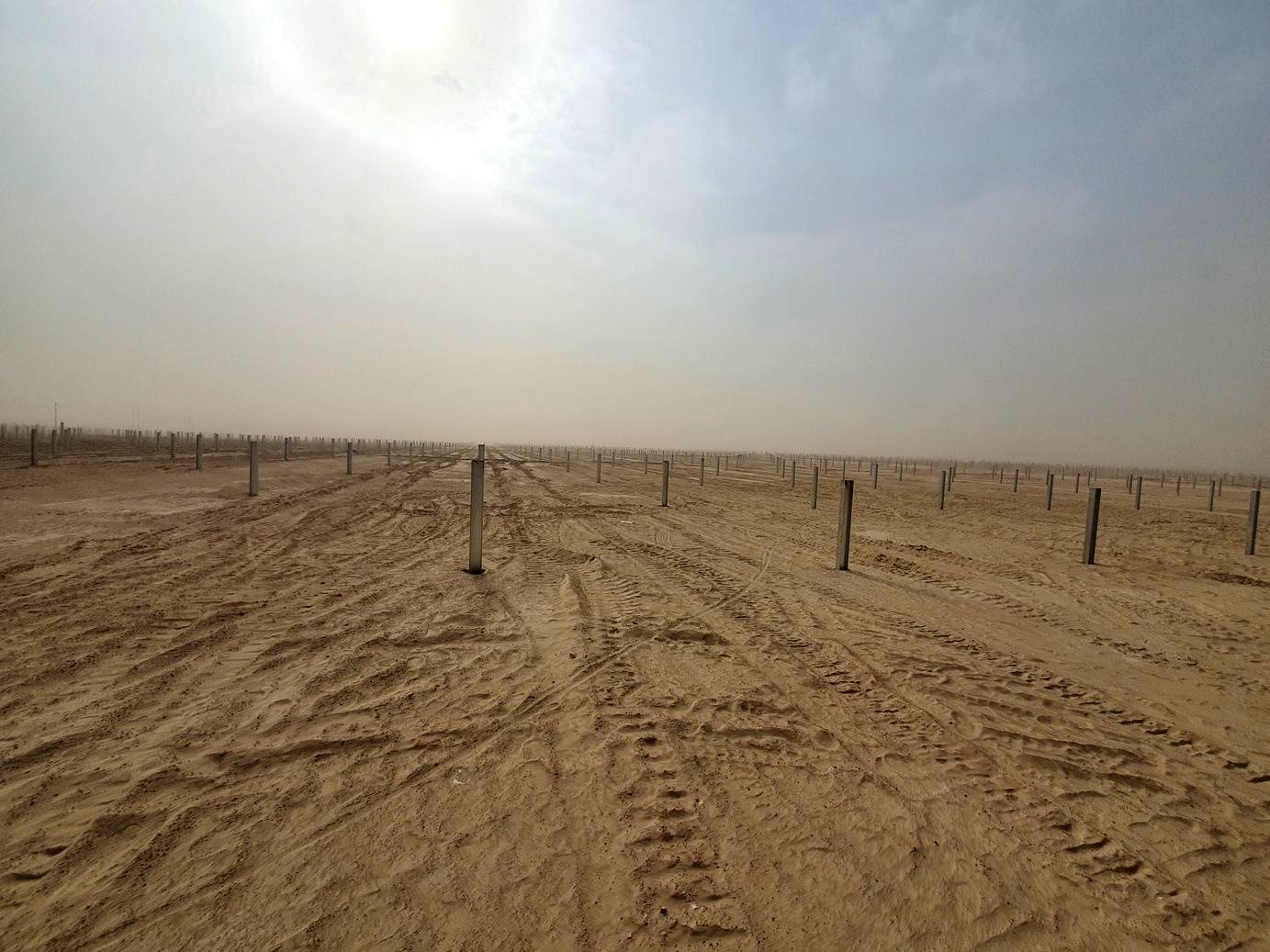 Installed pile field
